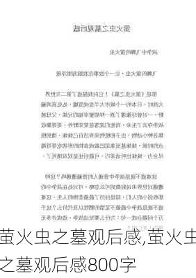 萤火虫之墓观后感,萤火虫之墓观后感800字-第3张图片-二喜范文网