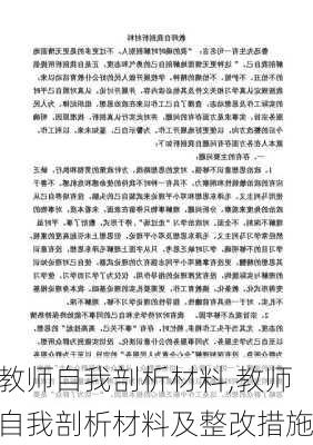 教师自我剖析材料,教师自我剖析材料及整改措施-第2张图片-二喜范文网