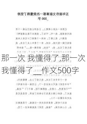 那一次 我懂得了,那一次我懂得了__作文500字-第3张图片-二喜范文网