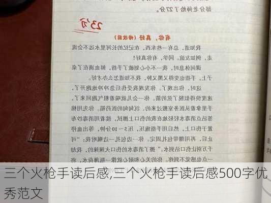 三个火枪手读后感,三个火枪手读后感500字优秀范文-第3张图片-二喜范文网