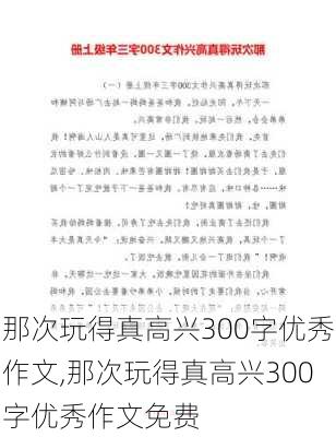 那次玩得真高兴300字优秀作文,那次玩得真高兴300字优秀作文免费-第3张图片-二喜范文网