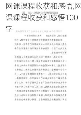 网课课程收获和感悟,网课课程收获和感悟100字-第2张图片-二喜范文网