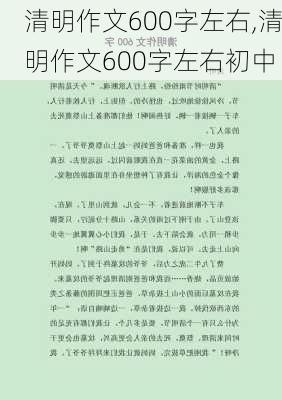 清明作文600字左右,清明作文600字左右初中-第1张图片-二喜范文网