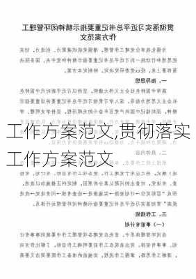 工作方案范文,贯彻落实工作方案范文-第1张图片-二喜范文网