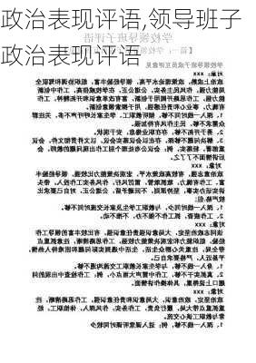 政治表现评语,领导班子政治表现评语-第2张图片-二喜范文网