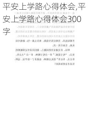 平安上学路心得体会,平安上学路心得体会300字-第2张图片-二喜范文网