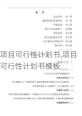 项目可行性计划书,项目可行性计划书模板-第2张图片-二喜范文网