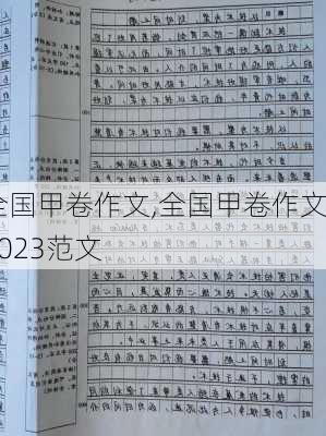 全国甲卷作文,全国甲卷作文2023范文-第2张图片-二喜范文网