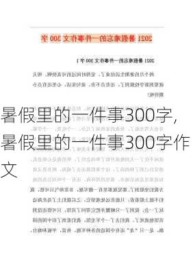 暑假里的一件事300字,暑假里的一件事300字作文-第2张图片-二喜范文网