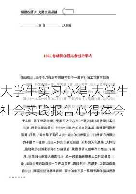 大学生实习心得,大学生社会实践报告心得体会-第2张图片-二喜范文网