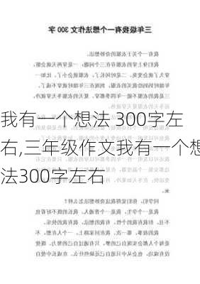 我有一个想法 300字左右,三年级作文我有一个想法300字左右