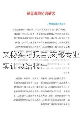 文秘实习报告,文秘专业实训总结报告-第3张图片-二喜范文网