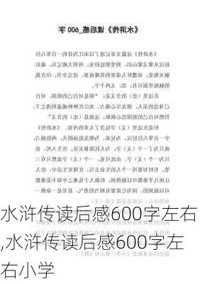 水浒传读后感600字左右,水浒传读后感600字左右小学-第1张图片-二喜范文网