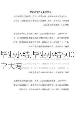 毕业小结,毕业小结500字大专-第3张图片-二喜范文网