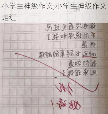 小学生神级作文,小学生神级作文走红-第3张图片-二喜范文网