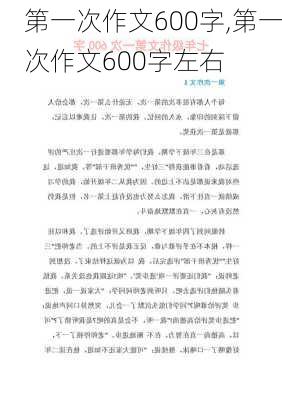 第一次作文600字,第一次作文600字左右-第2张图片-二喜范文网