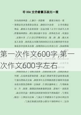 第一次作文600字,第一次作文600字左右-第3张图片-二喜范文网