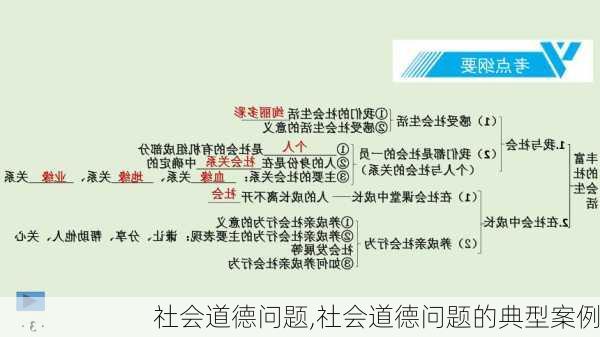 社会道德问题,社会道德问题的典型案例-第2张图片-二喜范文网