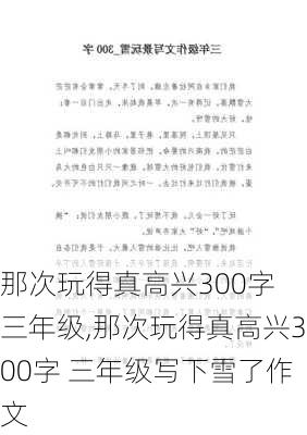 那次玩得真高兴300字 三年级,那次玩得真高兴300字 三年级写下雪了作文-第2张图片-二喜范文网