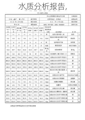 水质分析报告,-第3张图片-二喜范文网