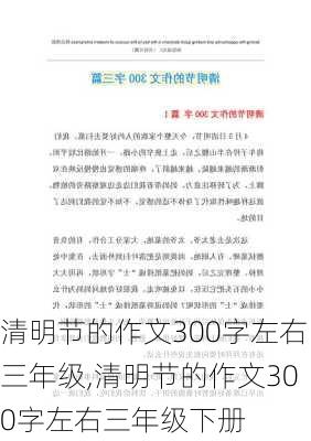 清明节的作文300字左右三年级,清明节的作文300字左右三年级下册-第2张图片-二喜范文网