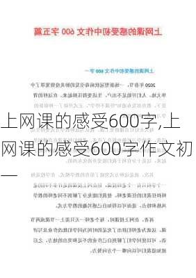 上网课的感受600字,上网课的感受600字作文初一-第1张图片-二喜范文网