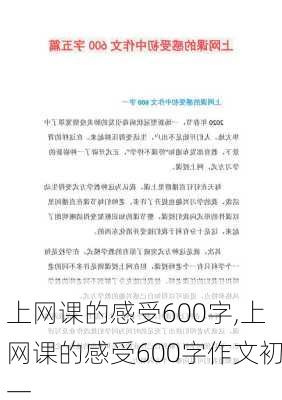 上网课的感受600字,上网课的感受600字作文初一-第1张图片-二喜范文网