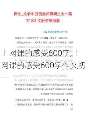 上网课的感受600字,上网课的感受600字作文初一-第2张图片-二喜范文网