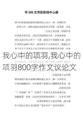 我心中的项羽,我心中的项羽800字作文议论文