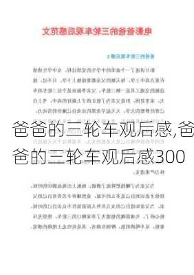 爸爸的三轮车观后感,爸爸的三轮车观后感300-第3张图片-二喜范文网