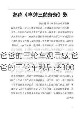 爸爸的三轮车观后感,爸爸的三轮车观后感300-第2张图片-二喜范文网