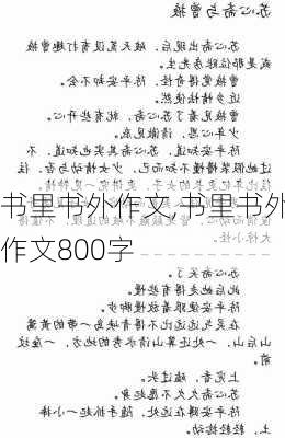 书里书外作文,书里书外作文800字-第1张图片-二喜范文网