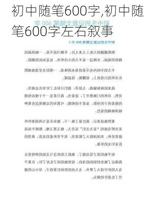 初中随笔600字,初中随笔600字左右叙事-第3张图片-二喜范文网