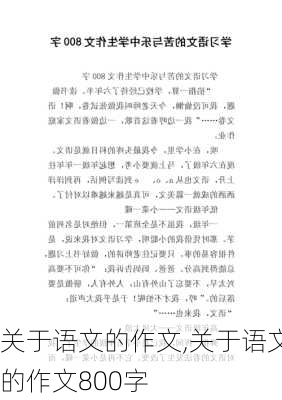 关于语文的作文,关于语文的作文800字