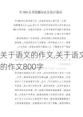 关于语文的作文,关于语文的作文800字-第2张图片-二喜范文网