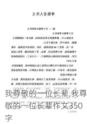 我尊敬的一位长辈,我尊敬的一位长辈作文350字