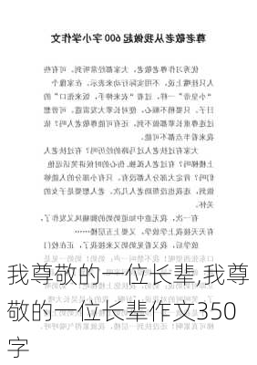 我尊敬的一位长辈,我尊敬的一位长辈作文350字-第3张图片-二喜范文网