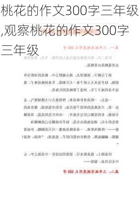 桃花的作文300字三年级,观察桃花的作文300字三年级-第1张图片-二喜范文网