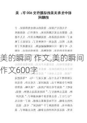 美的瞬间 作文,美的瞬间作文600字-第1张图片-二喜范文网