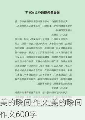 美的瞬间 作文,美的瞬间作文600字-第3张图片-二喜范文网