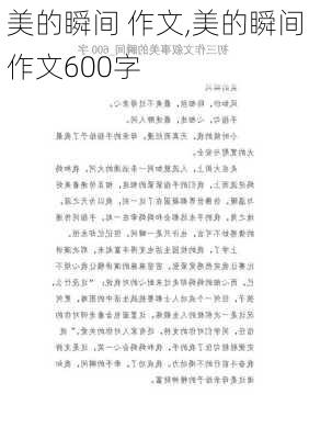 美的瞬间 作文,美的瞬间作文600字-第2张图片-二喜范文网