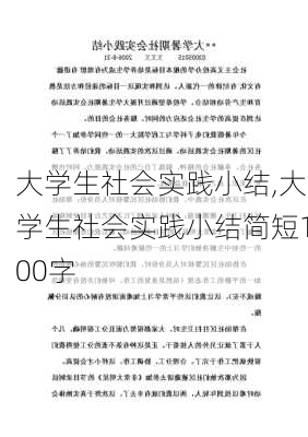 大学生社会实践小结,大学生社会实践小结简短100字-第2张图片-二喜范文网