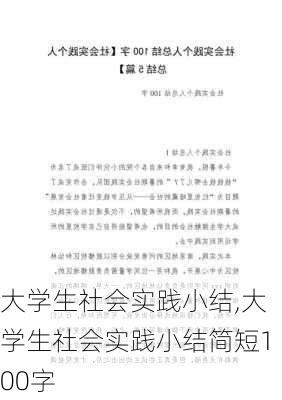 大学生社会实践小结,大学生社会实践小结简短100字-第3张图片-二喜范文网