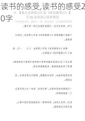 读书的感受,读书的感受20字-第3张图片-二喜范文网