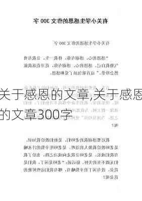 关于感恩的文章,关于感恩的文章300字-第1张图片-二喜范文网