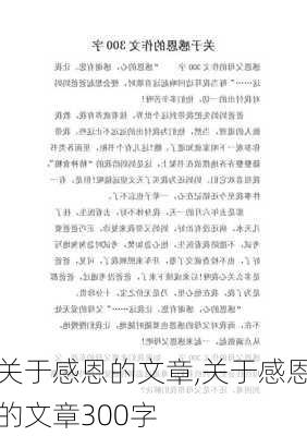 关于感恩的文章,关于感恩的文章300字-第2张图片-二喜范文网