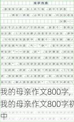 我的母亲作文800字,我的母亲作文800字初中-第3张图片-二喜范文网