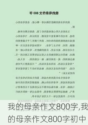 我的母亲作文800字,我的母亲作文800字初中