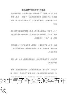 她生气了作文500字五年级,-第1张图片-二喜范文网