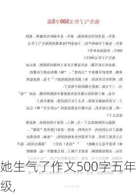 她生气了作文500字五年级,-第2张图片-二喜范文网